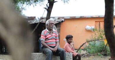 छत्तीसगढ़ में खेती जोरों पर! खरीफ फसलों का 75% रकबा कवर, किसानों को मिले रिकॉर्ड बीज