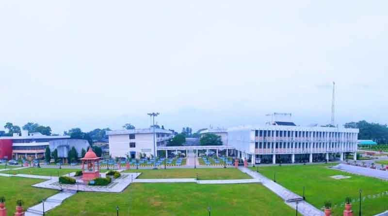 पूसा द्वारा विकसित ‘राजेन्द्र सोनिया’ की जबरदस्त मांग