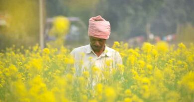 अब बीमा क्लेम की राशि भी किसानों के खाते में आने वाली है