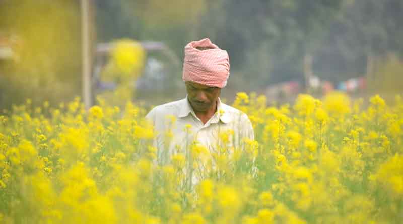 अब बीमा क्लेम की राशि भी किसानों के खाते में आने वाली है
