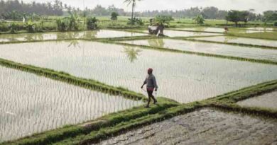 2023–24 की कृषि रिपोर्ट: एक चिंताजनक संकेत