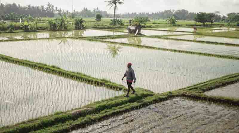 2023–24 की कृषि रिपोर्ट: एक चिंताजनक संकेत