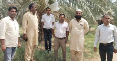 खजूर की खेती से पोकरण के किसानों की बदली किस्मत, सालाना कमा रहे 27 लाख रुपए