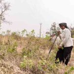 खरीफ सीजन में बुवाई ने पकड़ी रफ्तार: धान का रकबा 28 लाख हेक्टेयर बढ़ा, दलहन-तिलहन में दिखी सुस्ती