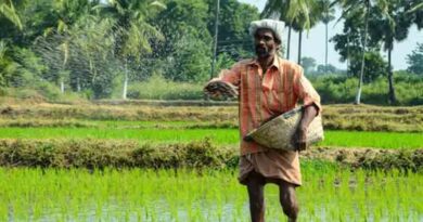 छत्तीसगढ़: 12.76 लाख किसानों को मिला खेती के लिए ब्याज मुक्त ऋण, खाद भंडारण भी मजबूत