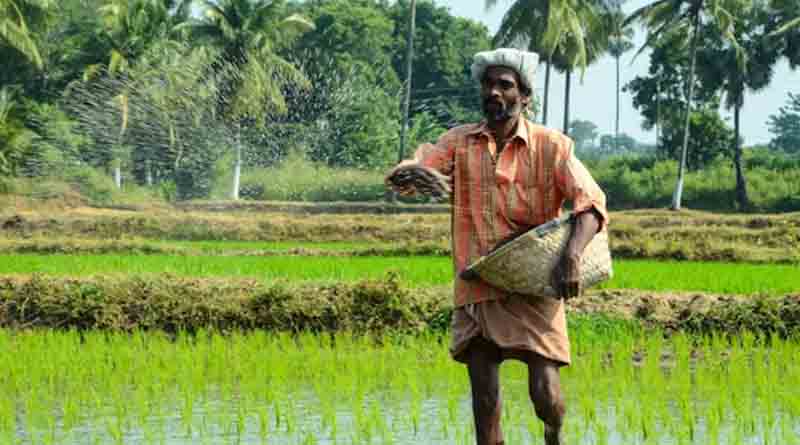 छत्तीसगढ़: 12.76 लाख किसानों को मिला खेती के लिए ब्याज मुक्त ऋण, खाद भंडारण भी मजबूत