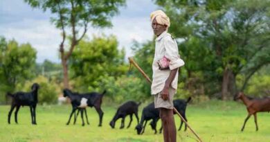 1522 मंडियों को राष्ट्रीय कृषि बाजार पोर्टल के साथ एकीकृत किया जा चुका है