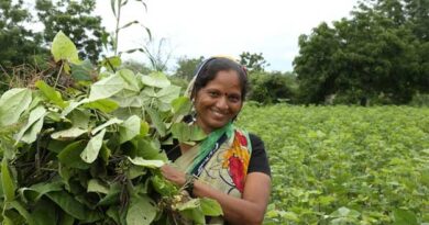 Mp में मनरेगा से लगेगे 30 लाख फलदार पौधे, महिलाओं को मिलेगा लाभ