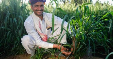 PM Kisan Yojana: 20वीं किस्त का इंतजार खत्म, आज पीएम मोदी किसानों के खाते में भेज सकते हैं ₹22,000 करोड़