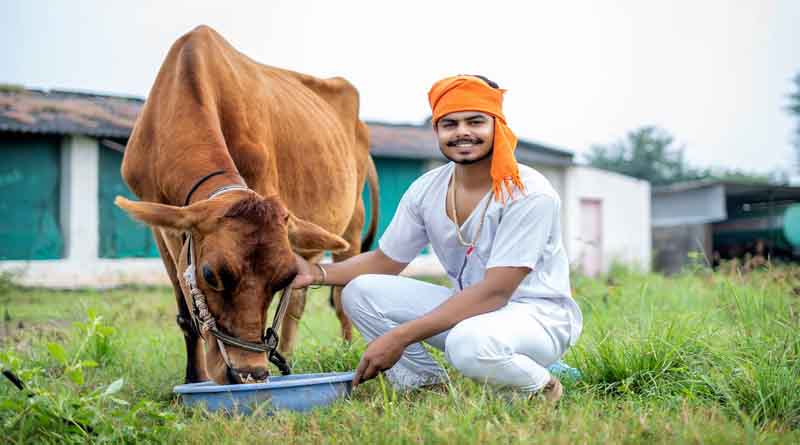 डेयरी इकाई स्थापित करने सरकार दिलाएगी लाखों की सहायता