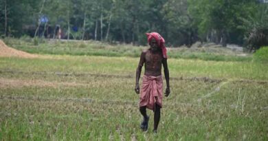 राजस्थान सरकार की बड़ी सौगात: 75 लाख किसानों को मिला 42 हजार करोड़ का ब्याज मुक्त कर्ज