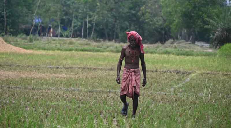 राजस्थान सरकार की बड़ी सौगात: 75 लाख किसानों को मिला 42 हजार करोड़ का ब्याज मुक्त कर्ज