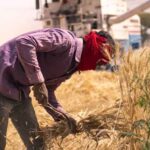 भारत में नकली कृषि आदानों का बढ़ता कारोबार: किसानों और खाद्य सुरक्षा के लिए खतरा