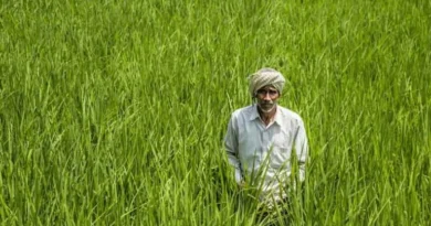 यूपी सरकार ने बढ़ाई खरीफ फसल बीमा की डेडलाइन, अब 31 जुलाई तक करें आवेदन