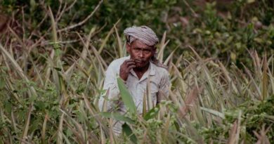 प्रधानमंत्री कृषि सिंचाई योजना को 2025-26 तक मिली मंजूरी, जल दक्षता और पारदर्शिता पर खास फोकस