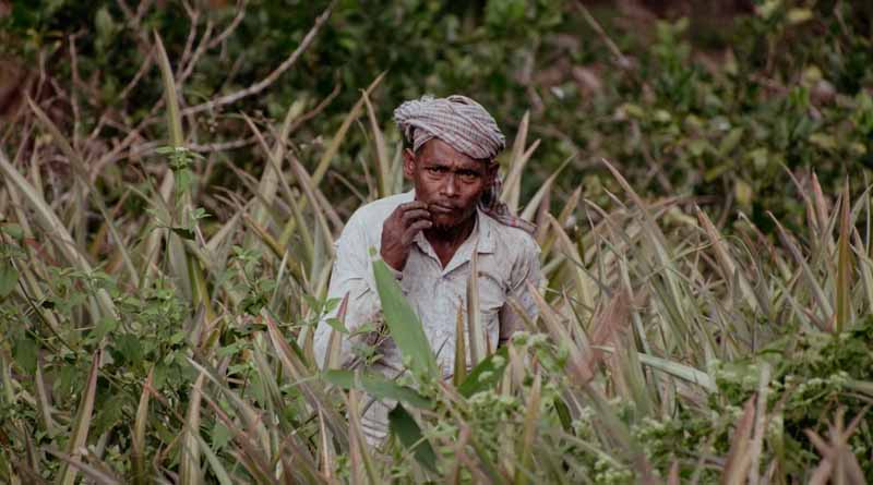 प्रधानमंत्री कृषि सिंचाई योजना को 2025-26 तक मिली मंजूरी, जल दक्षता और पारदर्शिता पर खास फोकस