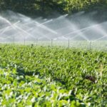 उद्यानिकी विभाग की दो योजनाओं में आवेदन आमंत्रित