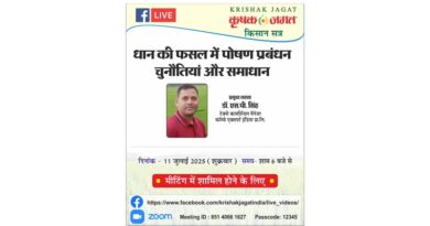 धान की फसल में पोषण प्रबंधन - समस्या एवं समाधान पर वेबिनार आज शाम 6 बजे