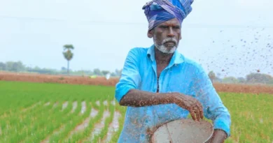 कॉस्को हाइब्रिड का अमानक धान बीज प्रतिबंधित