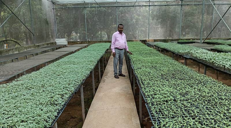 Chhattisgarh: मिनी सीडलिंग यूनिट से किसानों को सिर्फ ₹1 में मिल रहे उच्च गुणवत्ता के पौधे