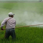 यूनिवर्सल एग्रो केमिकल इंडस्ट्रीज के सभी उत्पाद सीहोर जिले में प्रतिबंधित