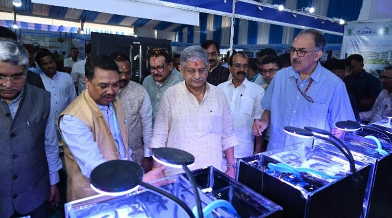 मत्स्य कृषक दिवस पर मछुआरों को सौगात: देशभर में बनेंगे 17 नए मत्स्य समूह, बढ़ेगा रोजगार और उत्पादन