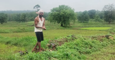 कोदो, विष्णुभोग और दुबराज से लौटेगी खेती की पुरानी रौनक, छत्तीसगढ़ बन रहा जैविक खेती का हब