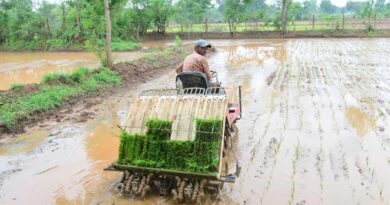 पैडी ट्रांसप्लांटर से खेती हुई आसान: छत्तीसगढ़ के किसान को 40 एकड़ में मिली 1.20 लाख की अतिरिक्त कमाई