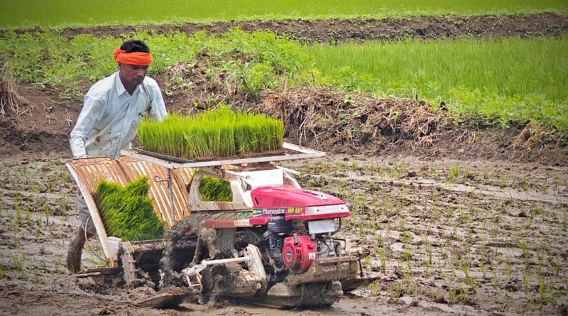 छत्तीसगढ़ के किसानों की मेहनत लाई रंग: अब पैडी ट्रांसप्लांटर से आधे समय में कर रहे दोगुनी कमाई