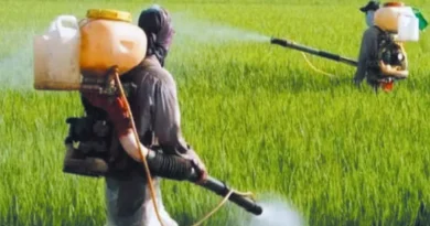 किसानों को बताया जा रहा है-कैसे करें कीटनाशकों का सुरक्षित उपयोग
