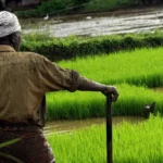 अमानक बीज, खाद बेचने वालों पर करें कार्यवाही - कलेक्टर