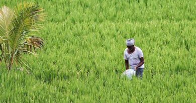 राजस्थान किसानों के लिए बड़ा मौका: नवाचारी खेती पर मिलेगा ₹50 हजार का नकद इनाम, 31 जुलाई तक करें आवेदन
