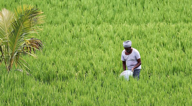 राजस्थान किसानों के लिए बड़ा मौका: नवाचारी खेती पर मिलेगा ₹50 हजार का नकद इनाम, 31 जुलाई तक करें आवेदन