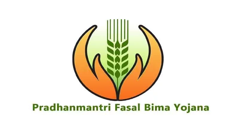 PM फसल बीमा योजना: आसान प्रीमियम में पूरी फसल सुरक्षित, जानिए आवेदन से क्लेम तक का प्रोसेस
