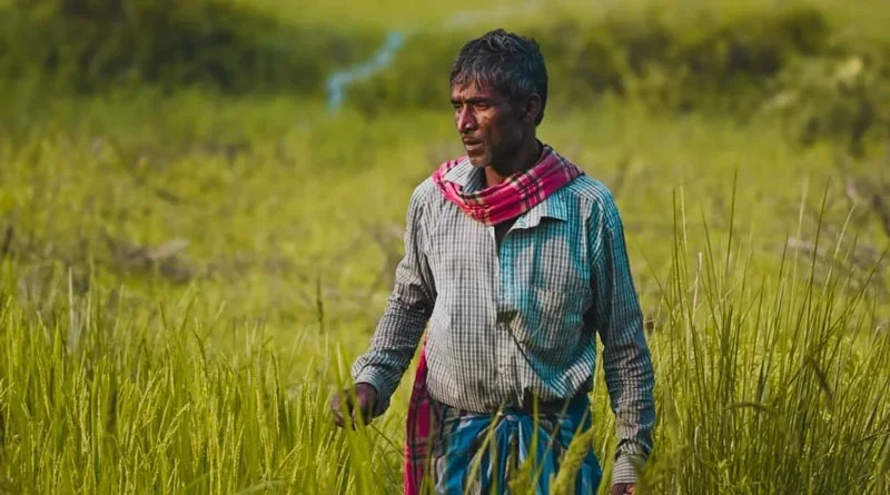 CM Kisan Yojana: इस राज्य के 51 लाख किसानों को तोहफा, खातें में आए सीधे 2-2 हजार रुपए