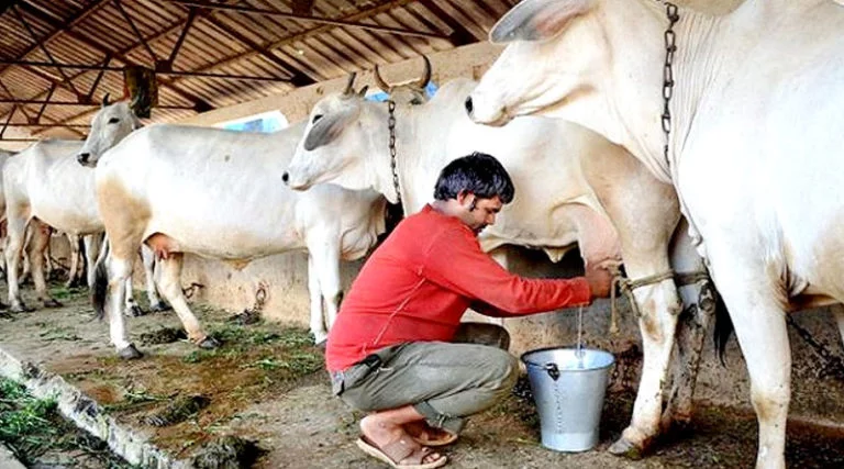 ग्वालियर दुग्ध संघ ने दूध खरीदी की दर बढ़ाई