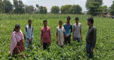 अलीराजपुर में कृषकों के लिए एडवाइजरी जारी