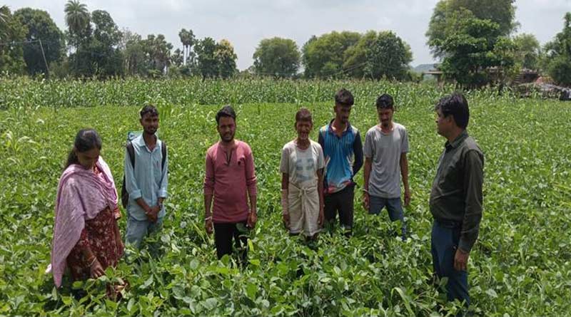 अलीराजपुर में कृषकों के लिए एडवाइजरी जारी
