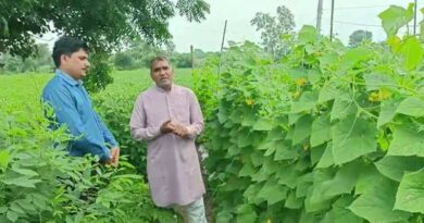 संरक्षित खेती योजना का लाभ लेकर अच्छी आय अर्जित कर रहे रूप सिंह