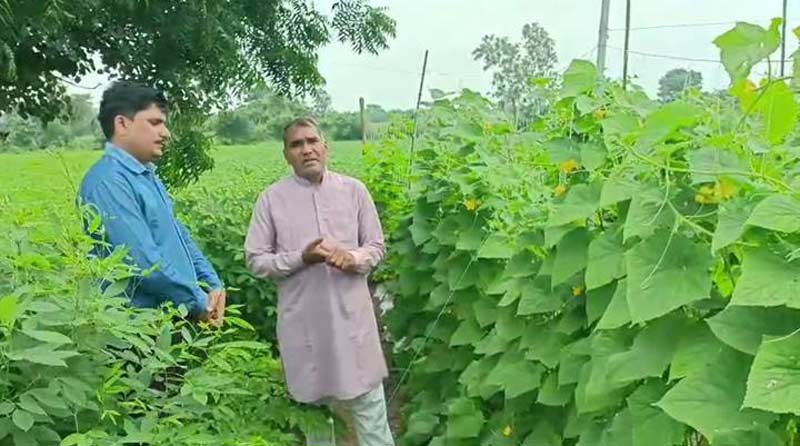संरक्षित खेती योजना का लाभ लेकर अच्छी आय अर्जित कर रहे रूप सिंह