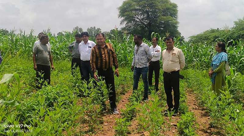 खरीफ फसलों का जायजा लेने हेतु डायग्नोस्टिक टीम ने किया  भ्रमण