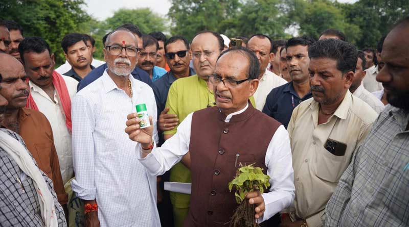 HPM की दवाई के कारण हुआ नुकसान - कंपनी के खिलाफ होगी सख्त कार्रवाई