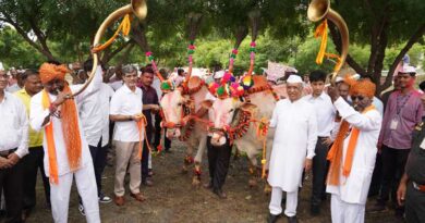 जैन हिल्स पर पोला उत्सव हर्षोल्लास से मनाया