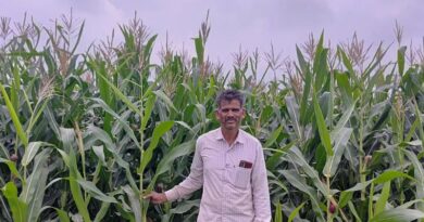 उर्वरकों का संतुलित मात्रा में उपयोग पर किसान के अनुभव