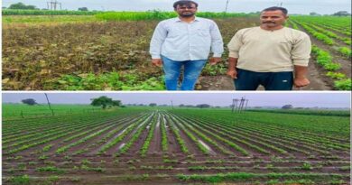 उज्जैन जिले में सल विविधीकरण की अनोखी मिसाल
