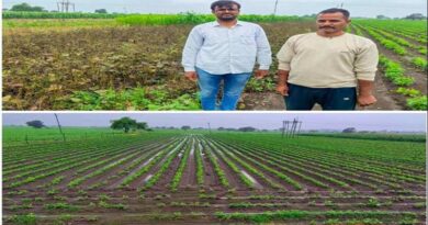 उज्जैन जिले में फसल विविधीकरण की अनोखी मिसाल