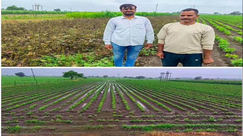 उज्जैन जिले में फसल विविधीकरण की अनोखी मिसाल
