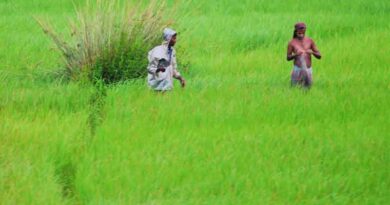 सर्वोत्कृष्ट कृषक पुरस्कार हेतु आवेदन 15 सितम्बर तक आमंत्रित