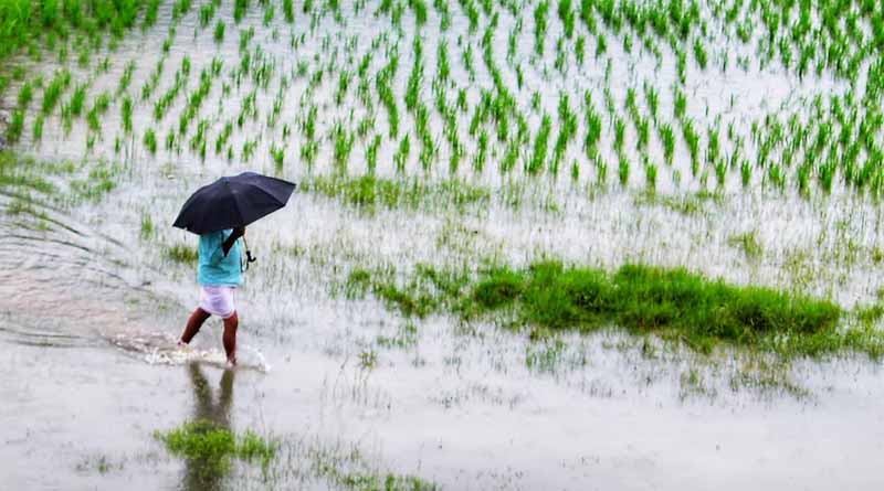 प्रगतिशील किसानों हेतु पुरस्कार आवेदन 31 अगस्त तक आमंत्रित