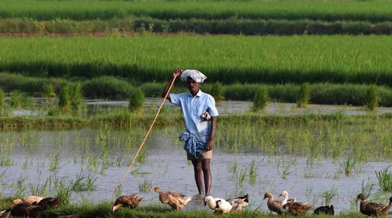 मध्यप्रदेश: खाद वितरण में अनियमितता बरतने पर समिति प्रबंधक निलंबित